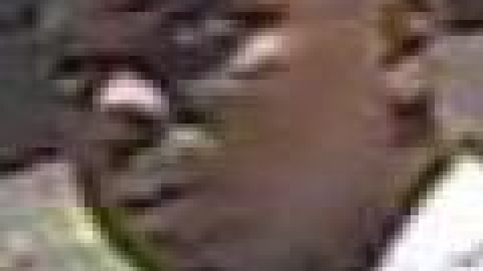 grab and run suspect