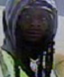 Smash and Grab Suspect