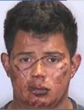 Video: Violent Struggle between Officer and Suspect