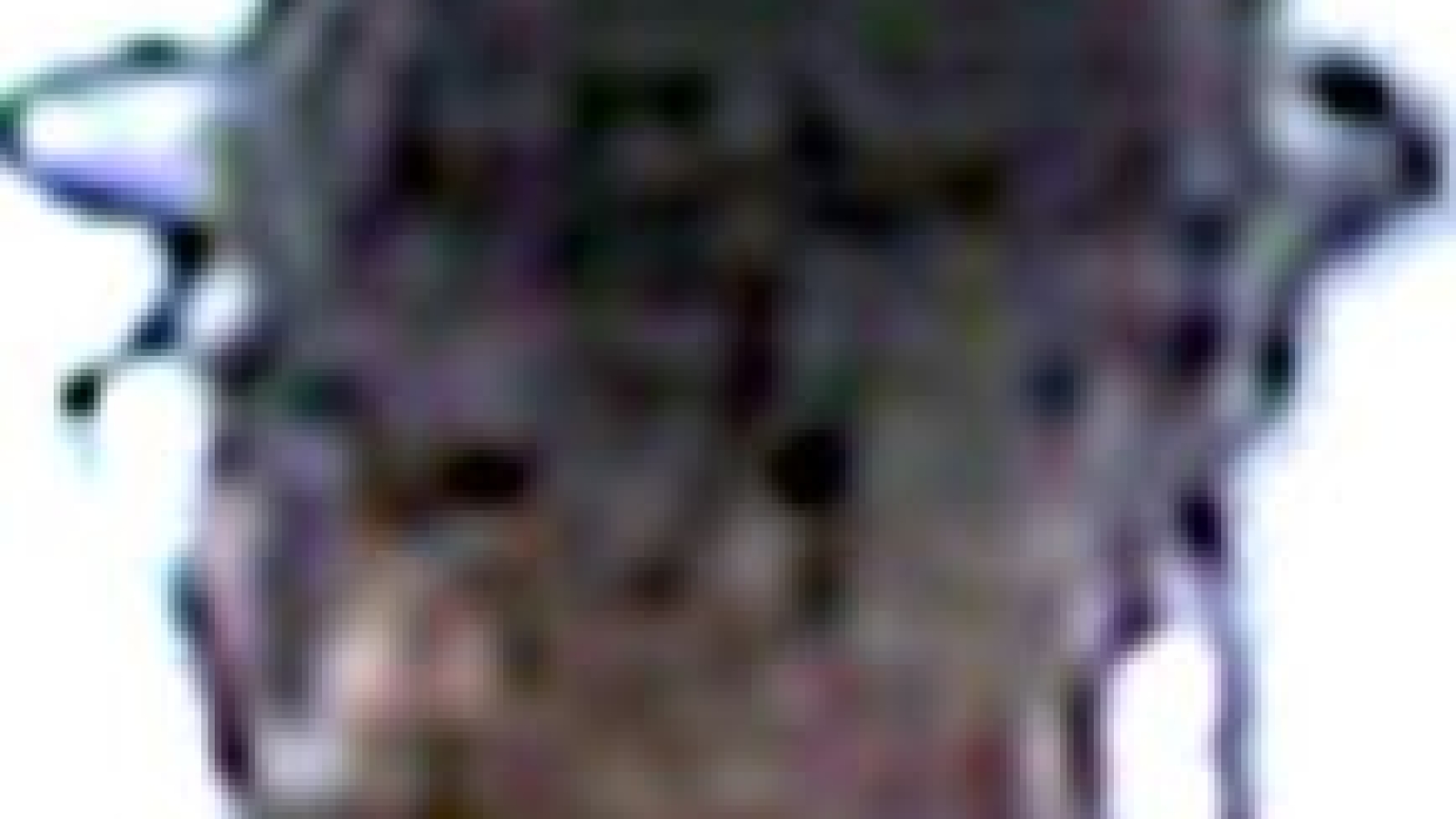 Image of Cephos Leyon "Jamal" White's face