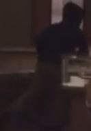 Video: Five Smash and Grab Suspects Arrested