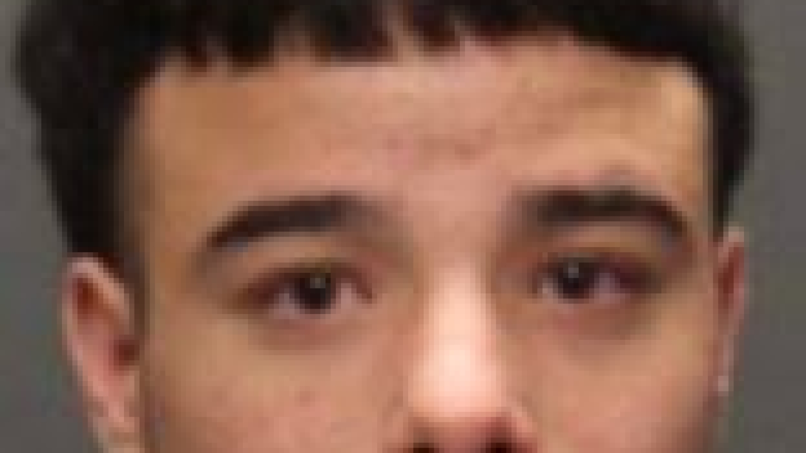 Image of subject's mugshot