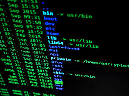 Safeguarding your business against cybercrime