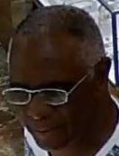 Wanted for Sneak Theft