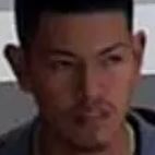 Wanted for Grab & Run Theft