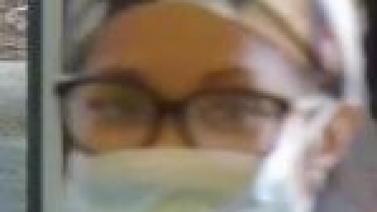 Image of credit fraud thief