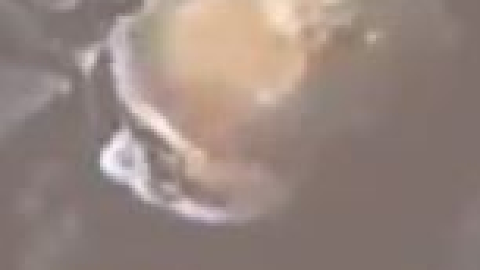 San Jose Robbery Subject