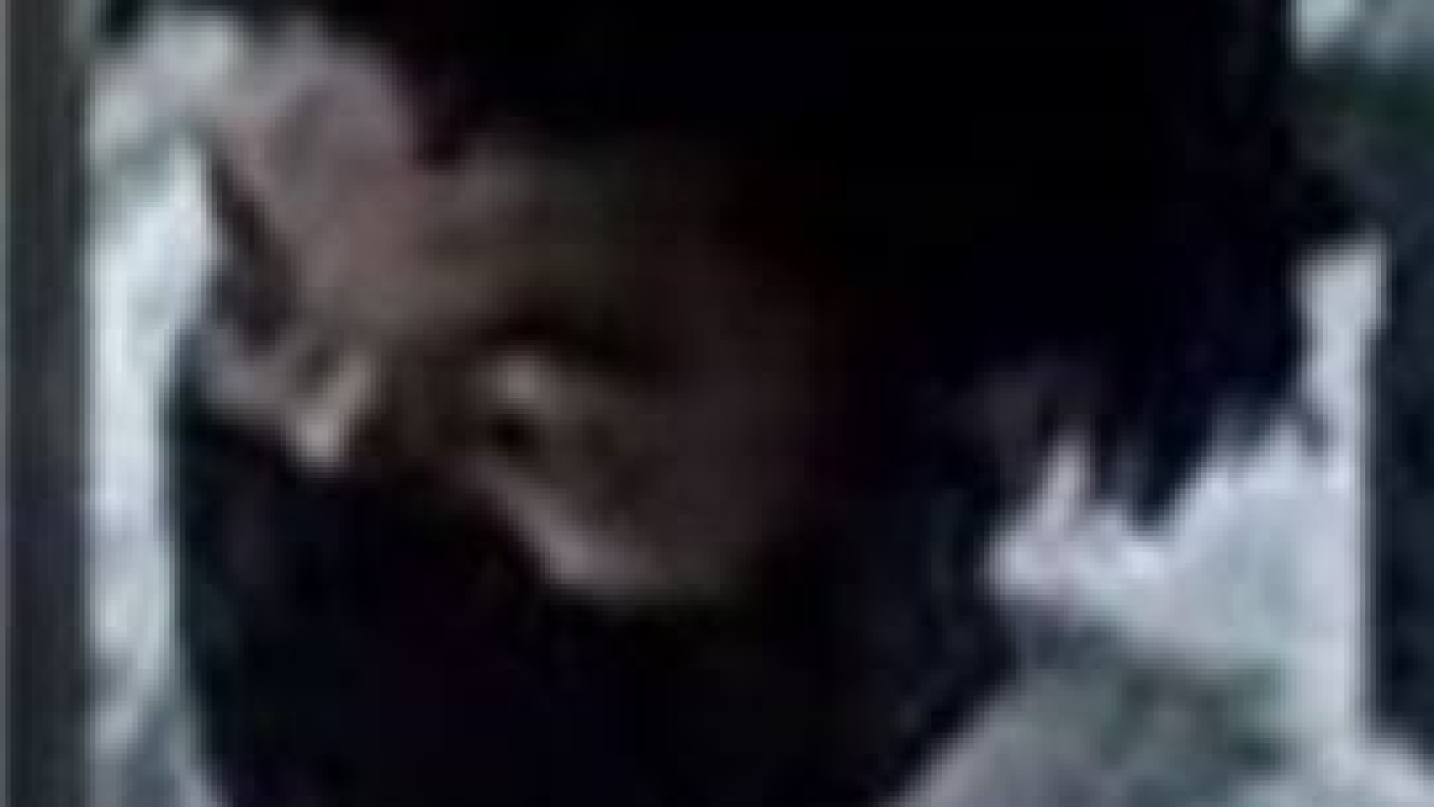 Bonita Springs Subject