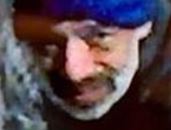 Wanted Burglary Subject