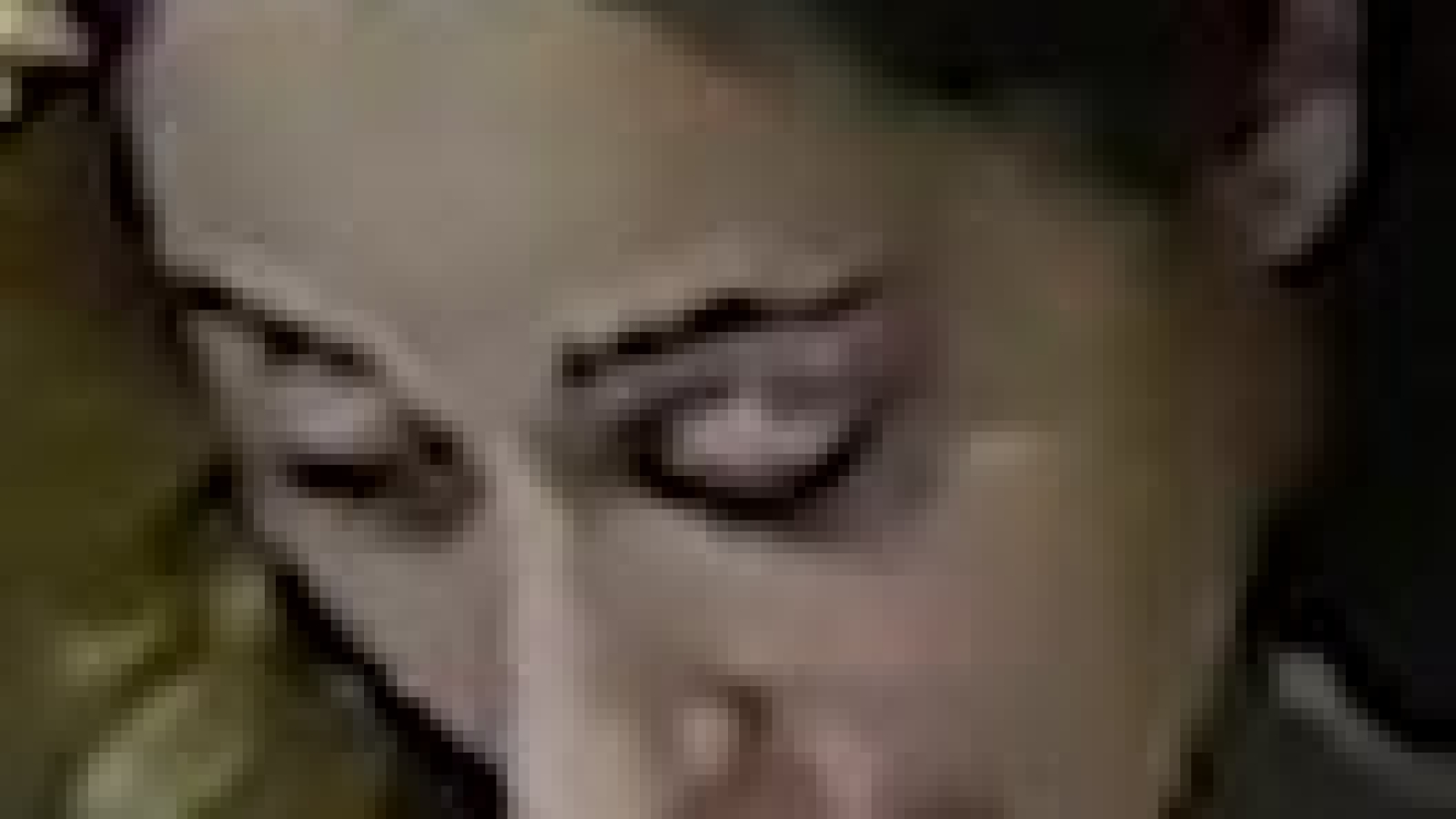 TN Distraction Thief