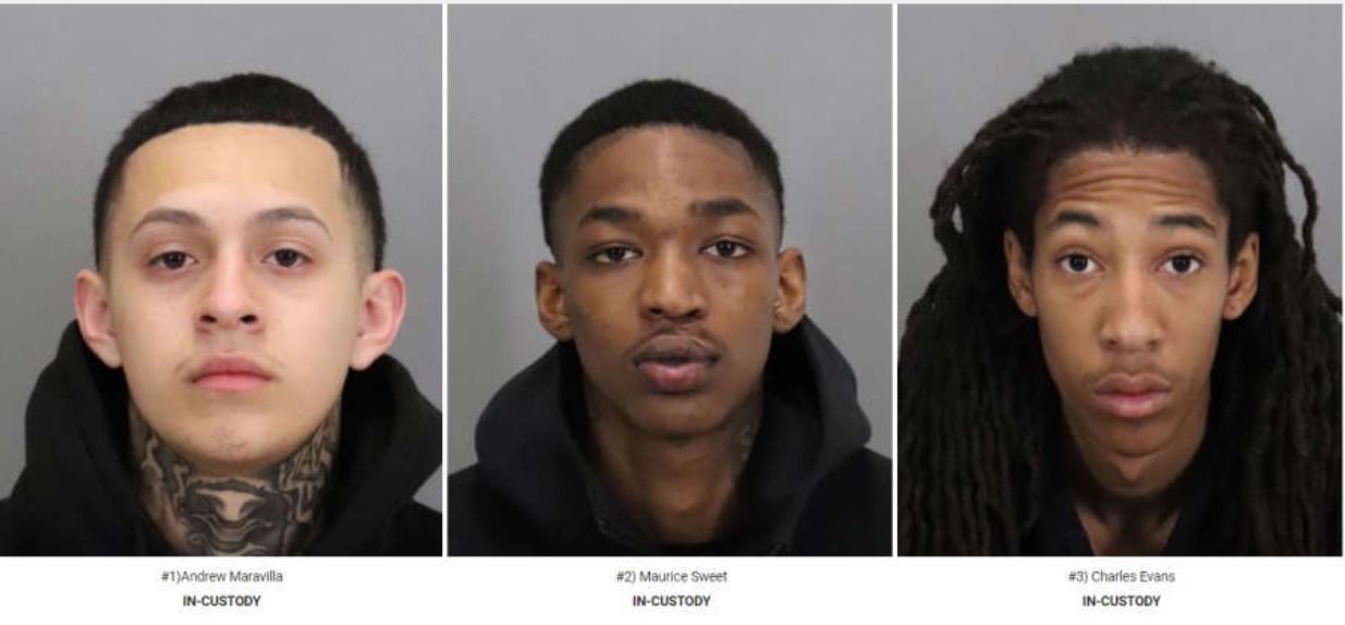 Smash & Grab Robbers' Mugshots
