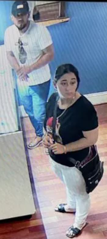 Thieves from Virginia