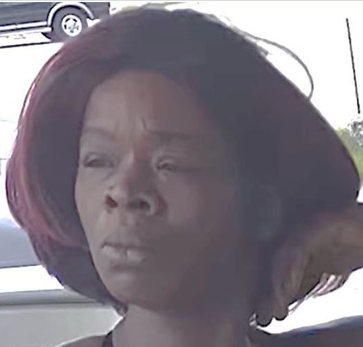 Tampa Robbery Subject