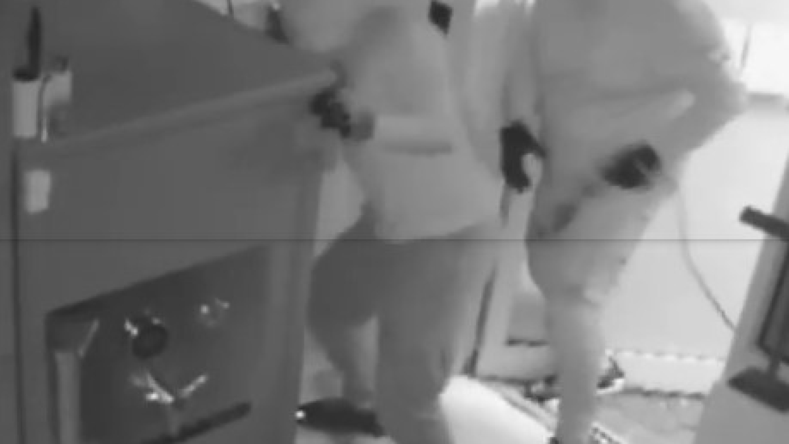 Northwest Miami-Dade Burglars