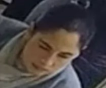 Image of Jewelry Thief