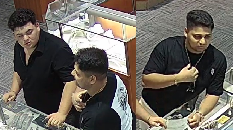 Wanted for Distraction Theft