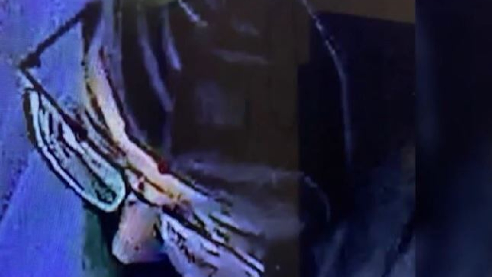 Scottsdale Burglary Subject Image