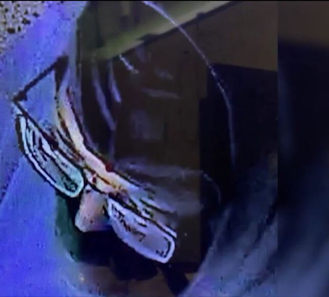 Scottsdale Burglary Subject Image