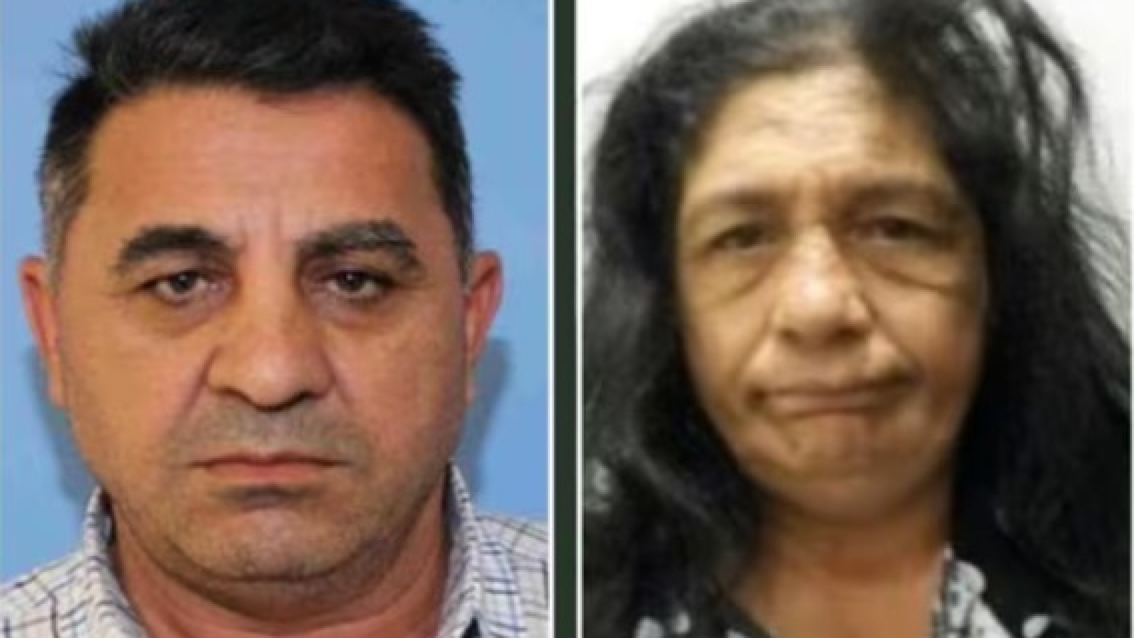 Wanted Theft Suspects