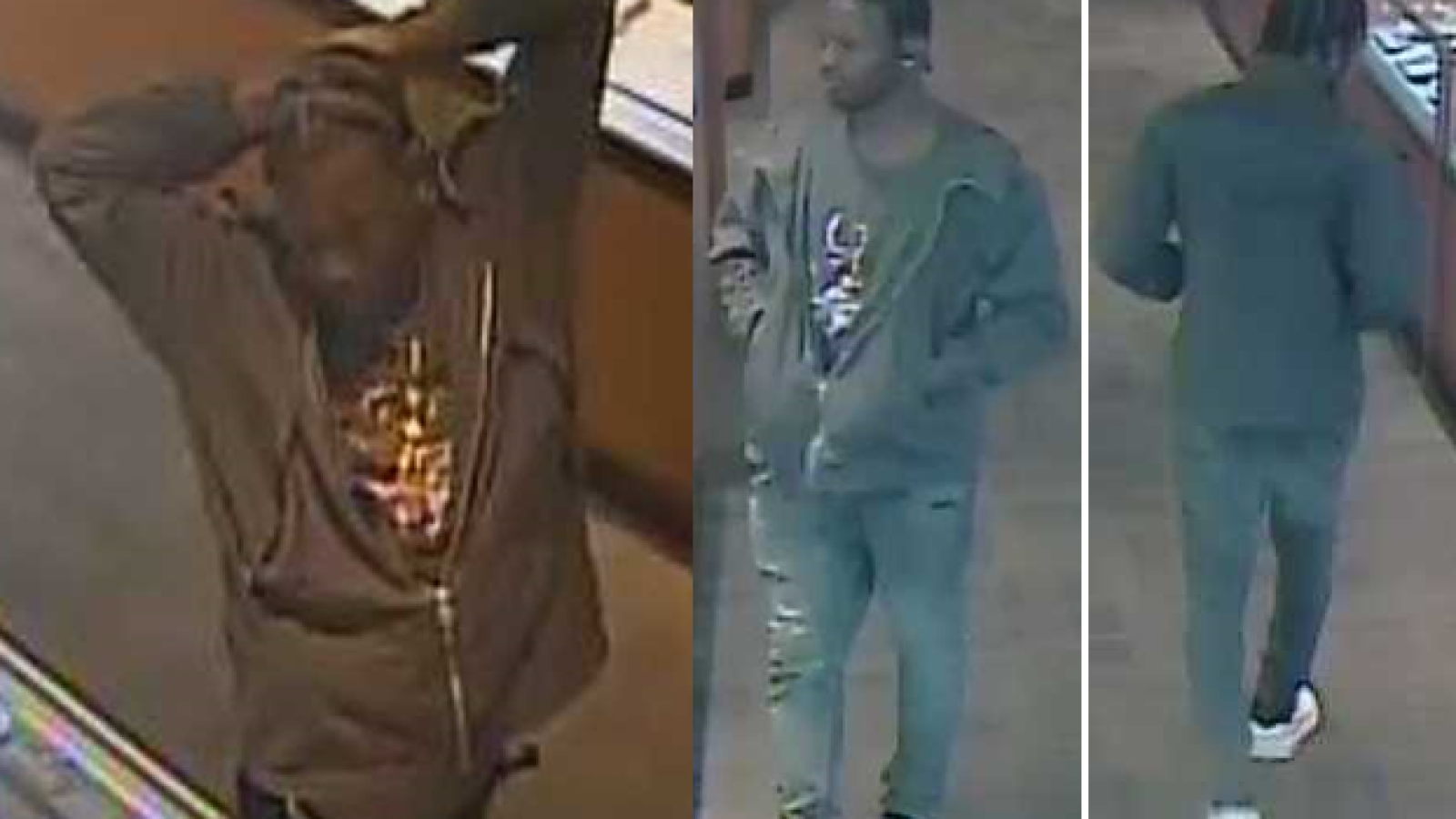 Brooklyn Jewelry Thief