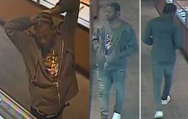 Brooklyn Jewelry Thief