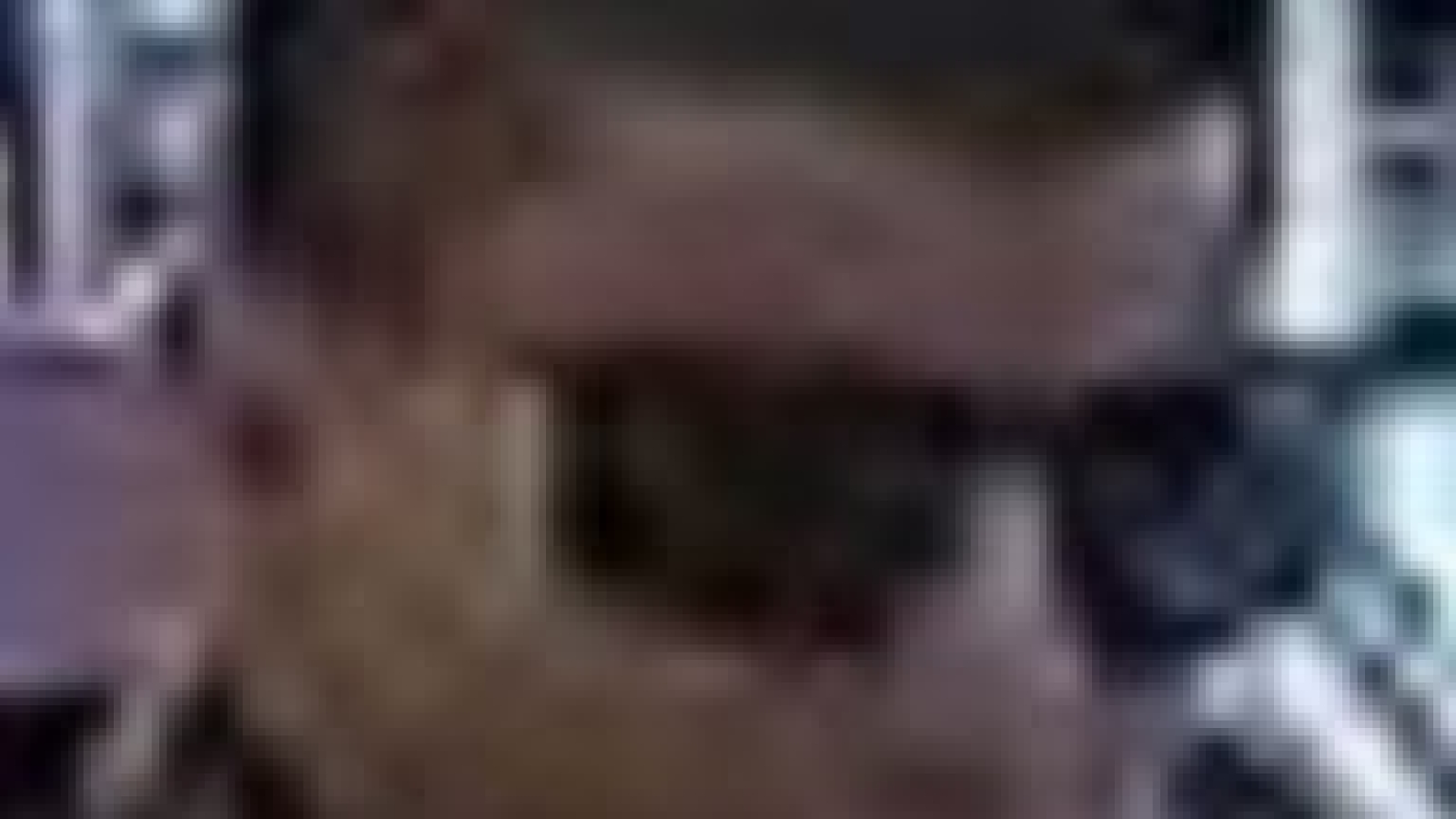 subject wearing sunglasses