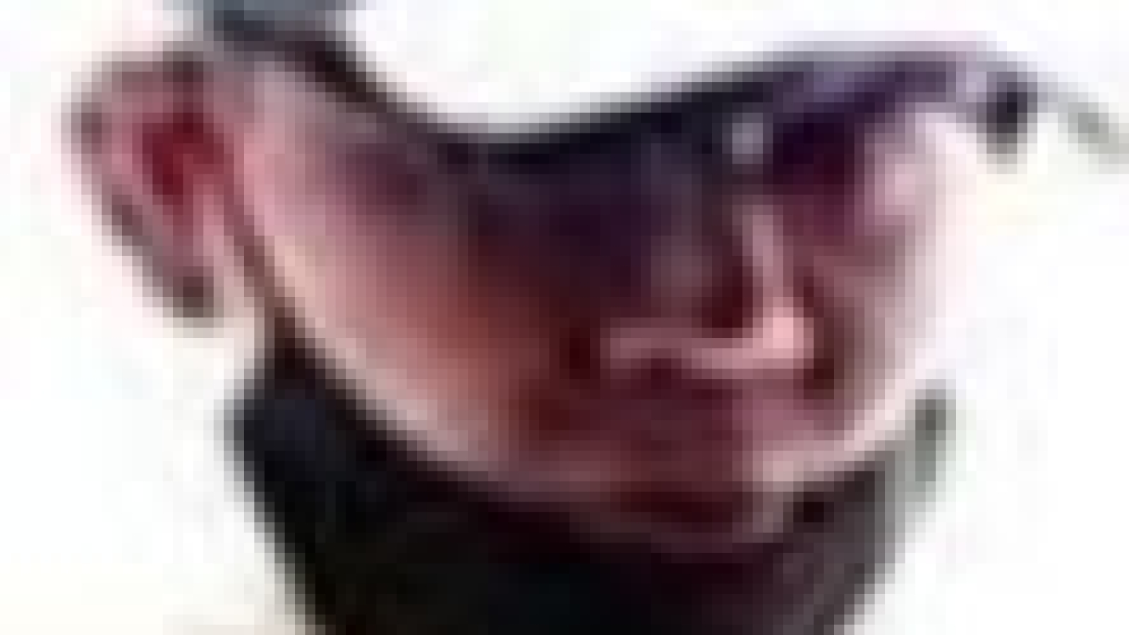 Wanted Thief - Newark, NJ