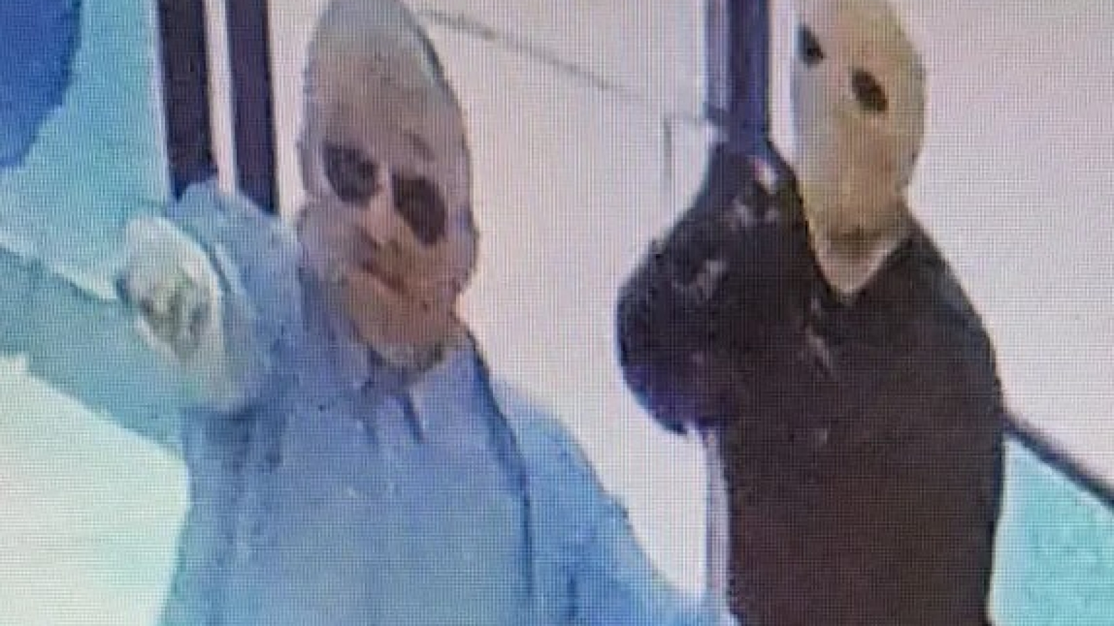 Dearborn Robbery Suspects